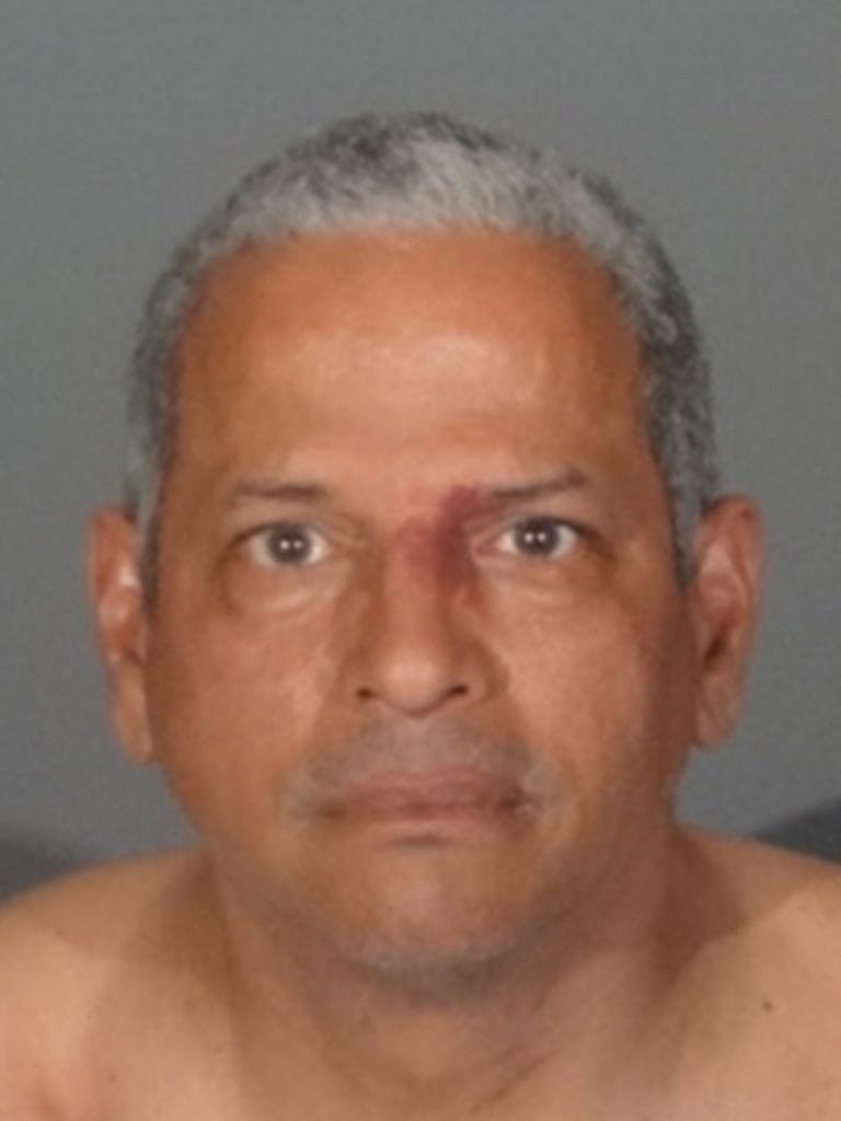 Santa Monica Police Department File DUI, Child Endangerment Charges in Expo Line Collision